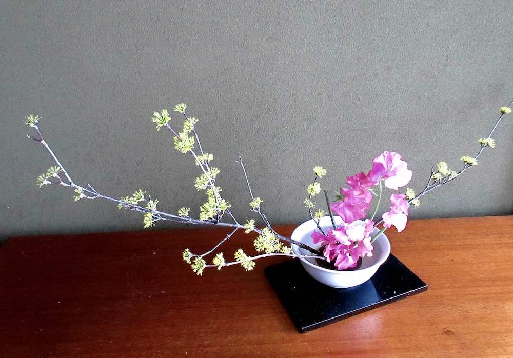 華道の流派とは?代表的な流派や違いを徹底解説