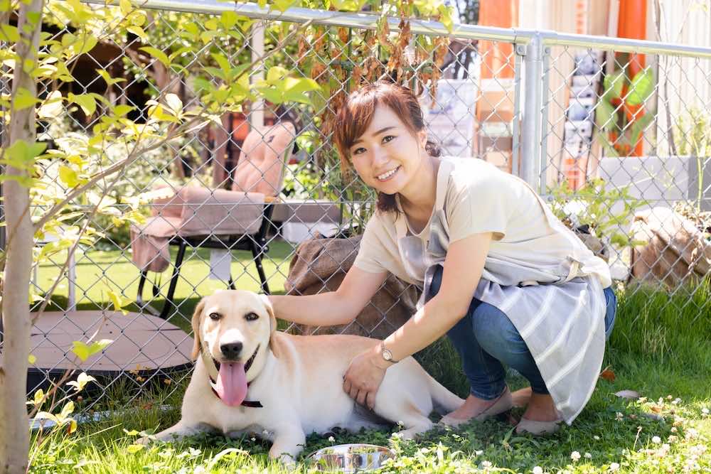 ドッグトレーナーの給料は安い？平均年収や収入アップの方法を解説