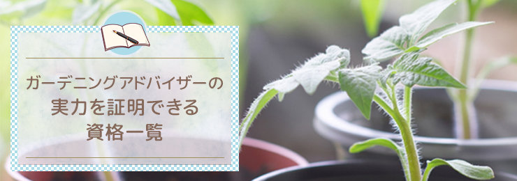 ガーデニングアドバイザーの実力を証明できる資格一覧
