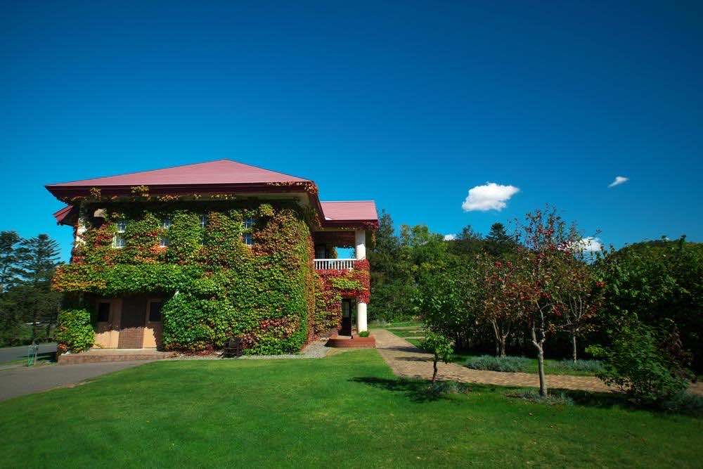 イングリッシュガーデンとは？魅力やおすすめお花・植物を解説