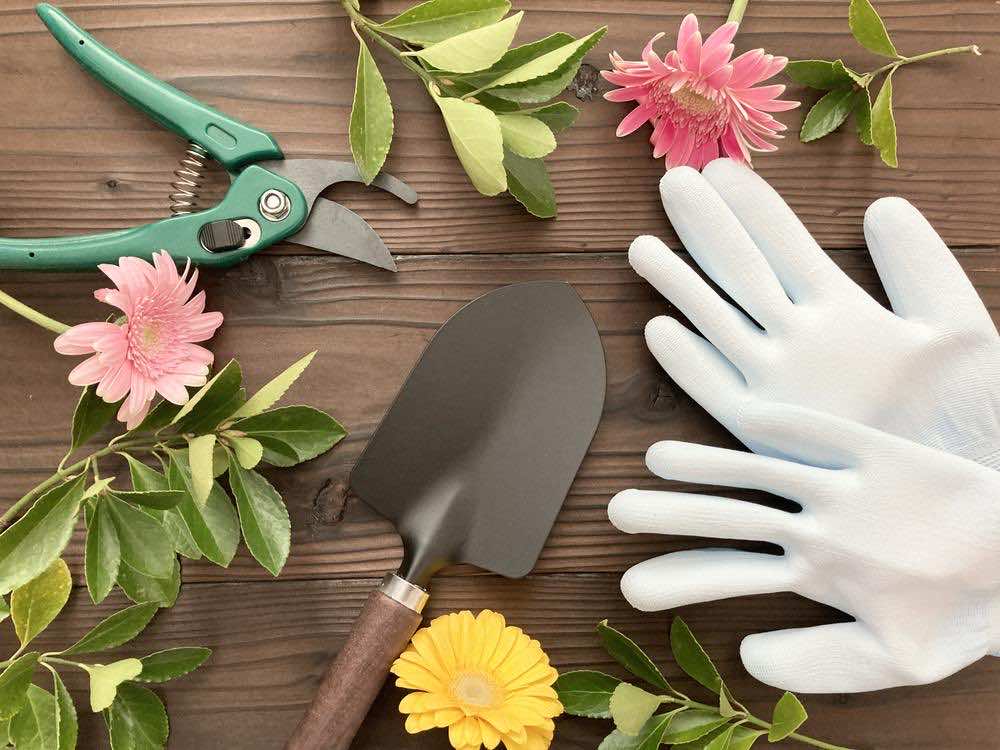 ガーデニングに必要な道具とは？道具の基本や初心者が知っておきたいポイントを解説