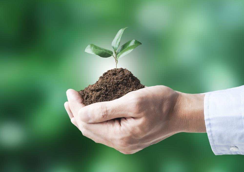 ガーデニングの土選びとは？土の作り方とその方法を徹底解説