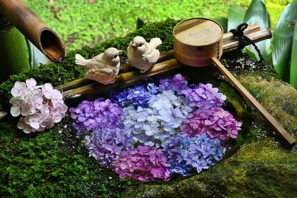 狭い庭でもガーデニングはできる？レイアウトアイデアやおすすめ植物・テクニックを解説