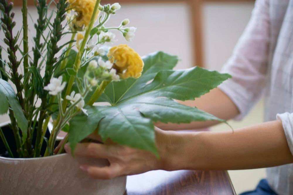 華道家の仕事とは？魅力や年収・メリットとデメリットを解説