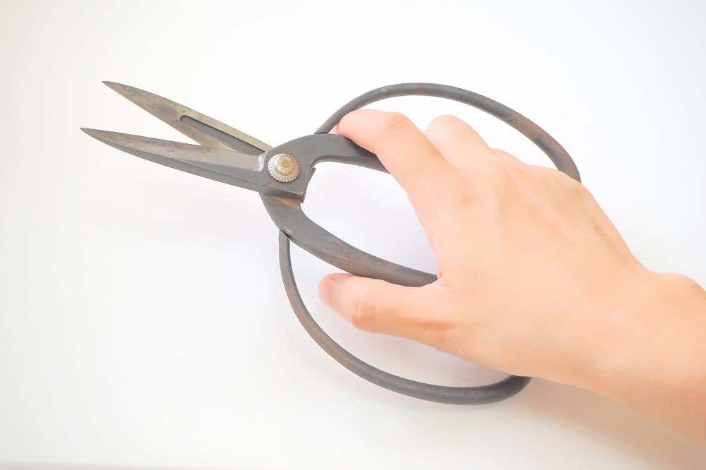 華道・生け花の基本道具とは？初心者に基本アイテムや素材選びを解説