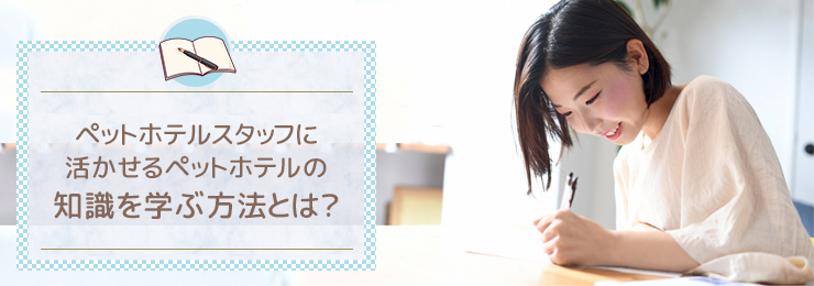 ペットホテルスタッフに活かせるペットホテルの知識を学ぶ方法とは?