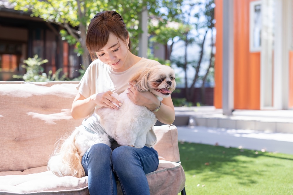 ペットシッターの仕事内容とは?やりがいや大変さ、一日の流れを解説!