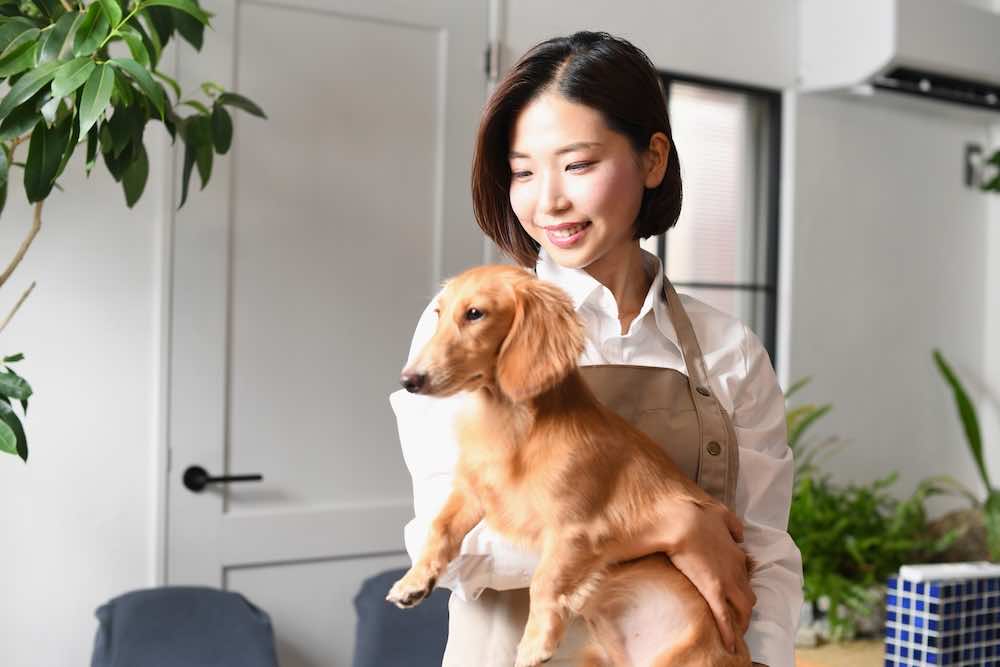 犬のトリマーの仕事内容とは?1日の流れや必要なスキル・資格も解説