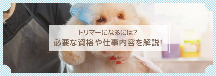 トリマーになるには?必要な資格や仕事内容を解説!