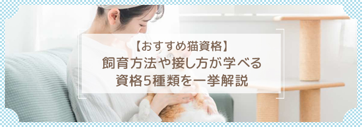 【おすすめ猫資格】飼育方法や接し方が学べる資格5種類を一挙解説