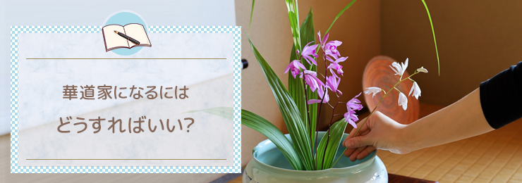 華道家になるにはどうすればいい?
