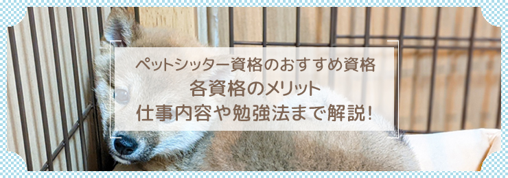 ペットホテルスタッフになるために必要な資格とは?活かせる職場やおすすめの資格を紹介