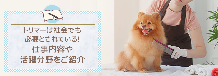 トリマーは社会でも必要とされている！仕事内容や活躍分野をご紹介